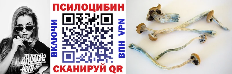 OMG маркетплейс  сколько стоит  Льгов  Галлюциногенные грибы Cubensis 